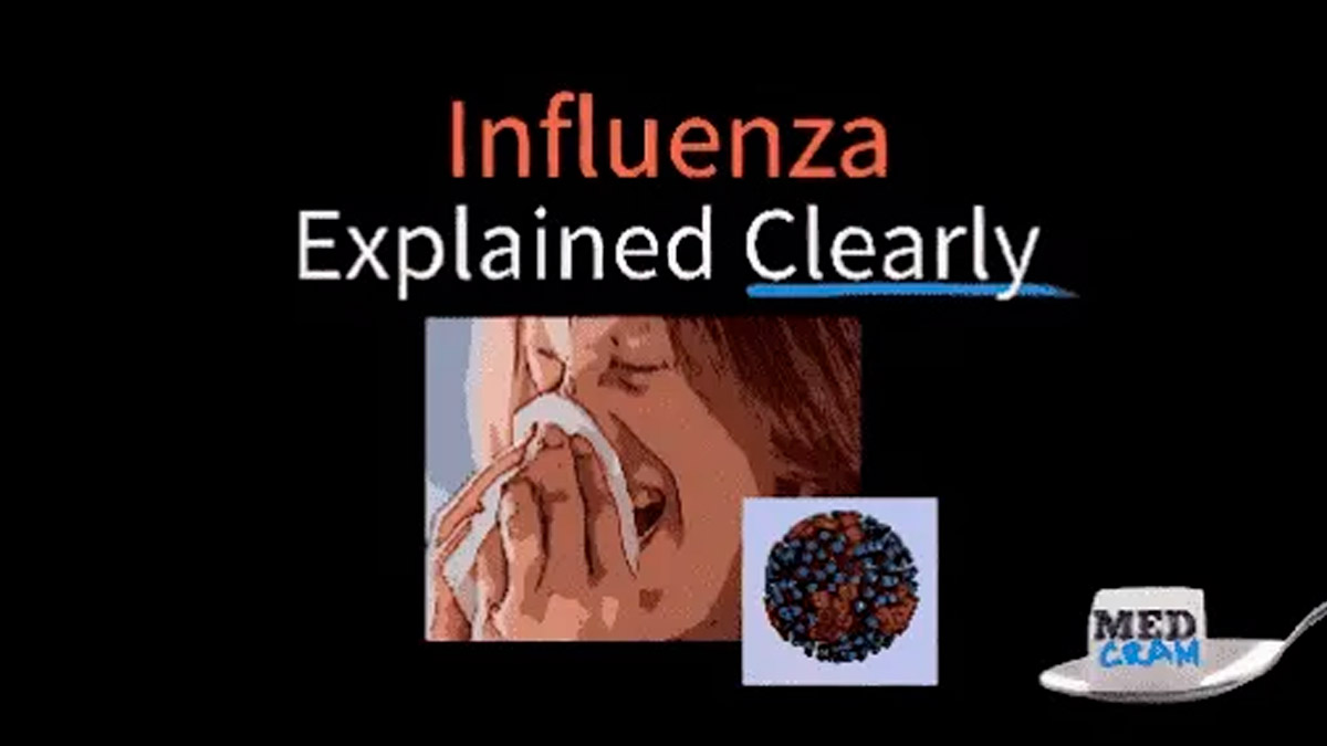 Influenza Explained Clearly