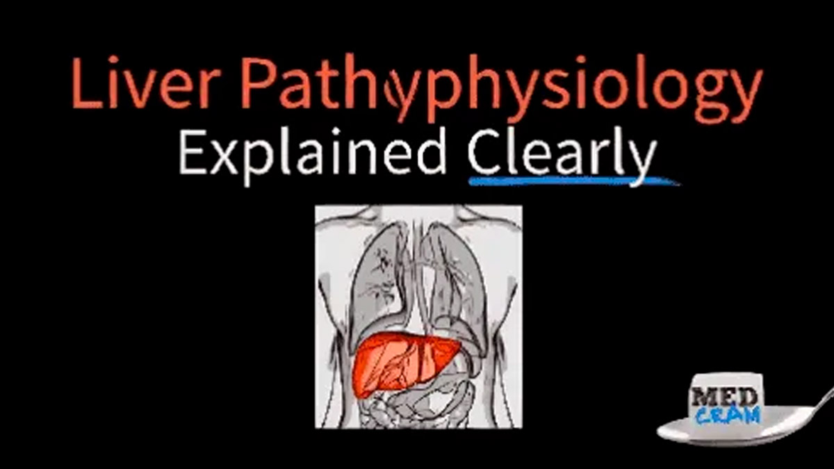 The Liver Explained Clearly - MedCram